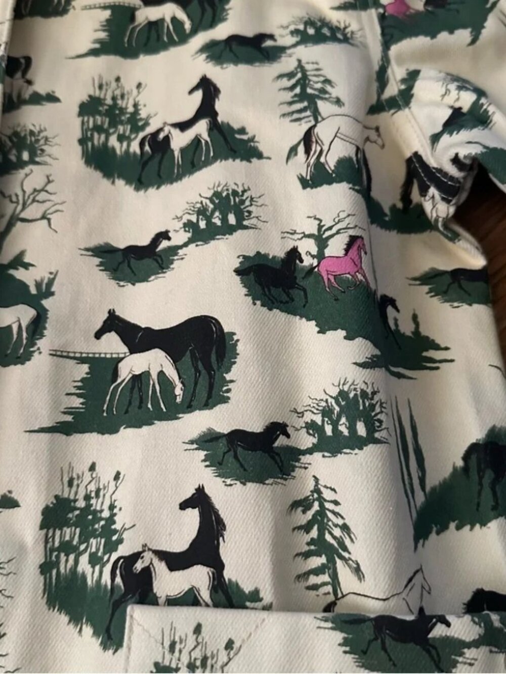 Rachel Antonoff Lizzie denim barn jean jacket in horse girl print cream green S - Picture 10 of 14